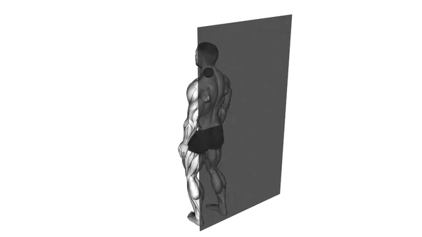 Levator Scapula Ball
