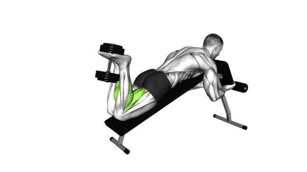 Dumbbell Decline Lying Leg Curl