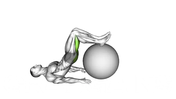 Stability Ball Leg Curl — Step 2