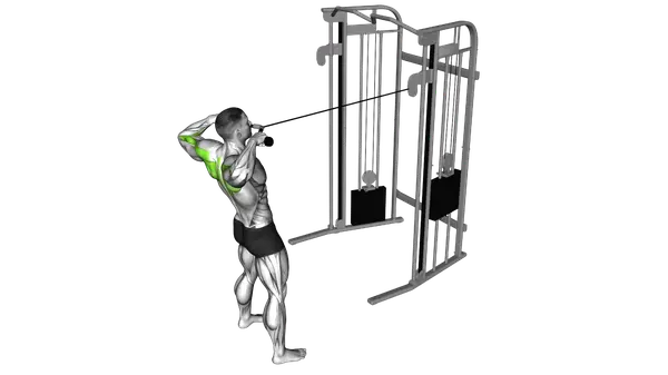 Cable Standing Face Pull (With Rope)