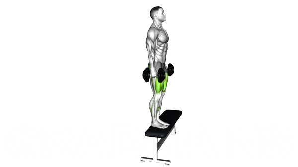 Dumbbell Step Up — Step 2