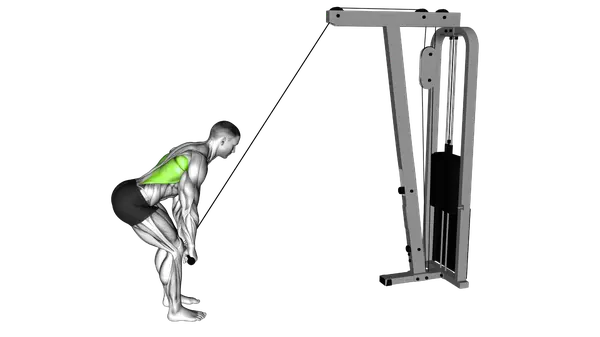 Cable Straight Arm Pulldown