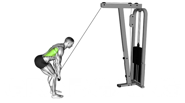 Cable Straight Arm Pulldown — Step 2