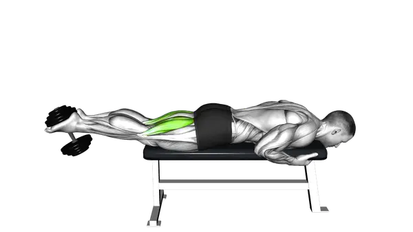 Dumbbell Lying Leg Curl