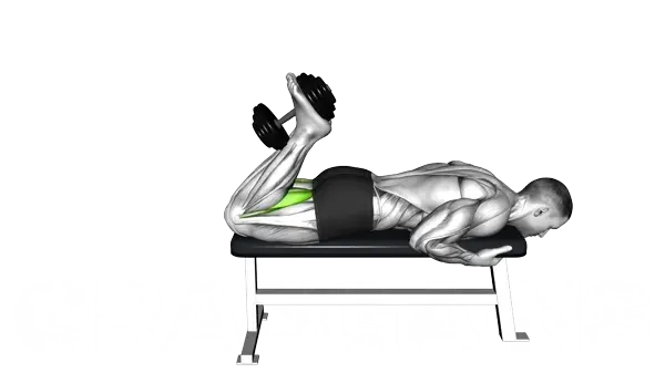 Dumbbell Lying Leg Curl — Step 2