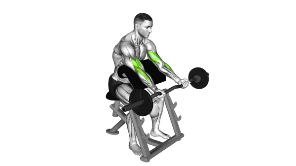 Ez Bar Preacher Curl