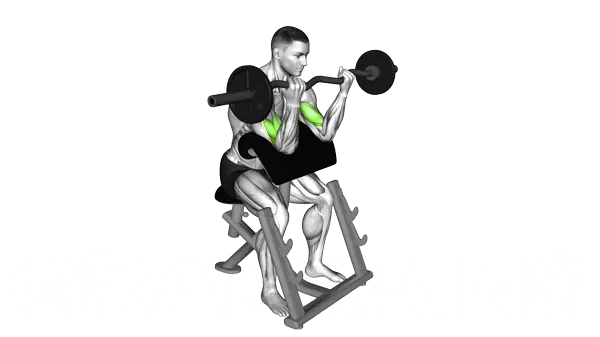 Ez Bar Preacher Curl — Step 2