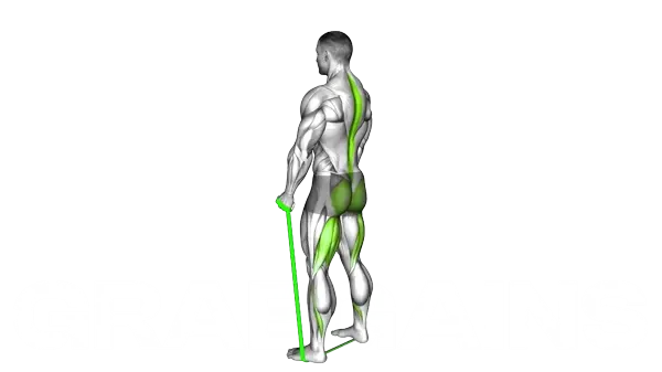 Resistance Band Romanian Deadlift — Step 2