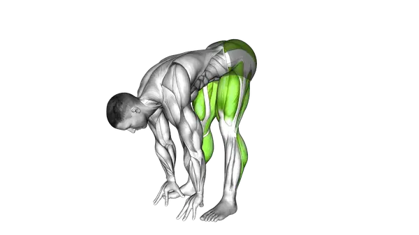 Stand To Squat