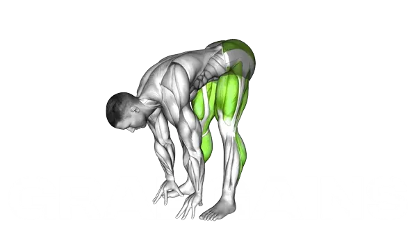 Stand To Squat — Step 2