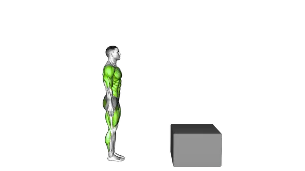 Burpee Box Jump