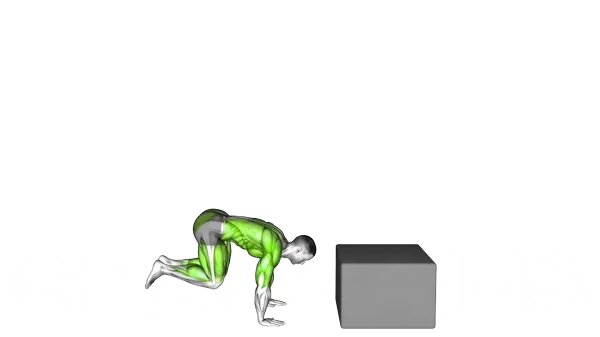 Burpee Box Jump — Step 2