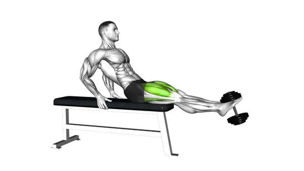 Dumbbell Sitting Leg Extension