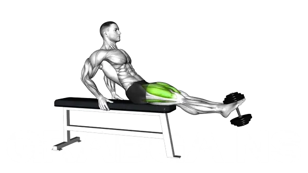 Dumbbell Sitting Leg Extension — Step 2