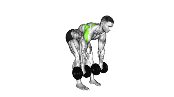 Dumbbell Bent Over Wide Row