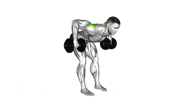 Dumbbell Bent Over Wide Row — Step 2