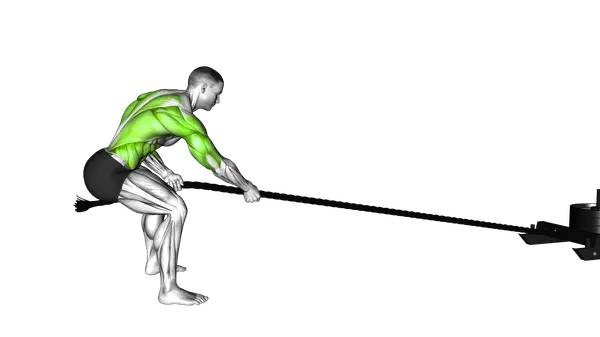 Power Sled Pull